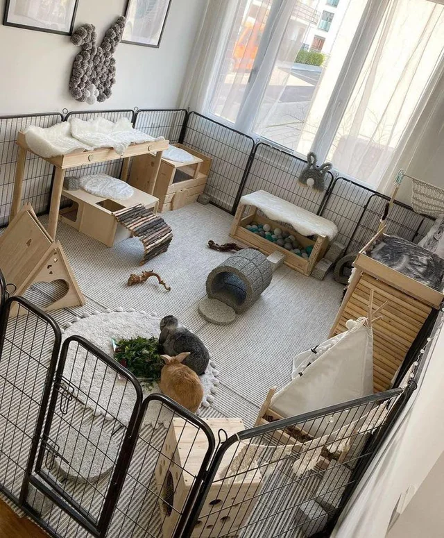 huge bunny playpen